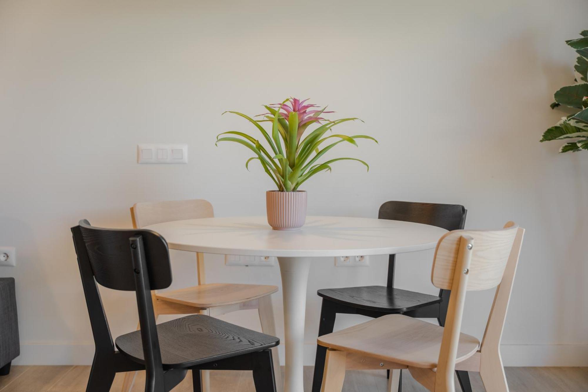 Loft The Pa By Paramount Holidays *